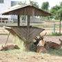 База отдыха Фаворит Гранд — мини-зоопарк